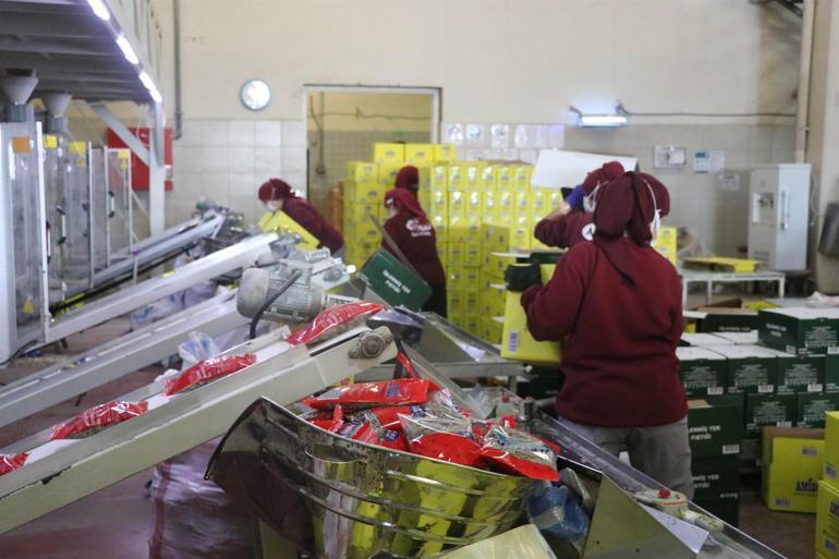 Yılbaşı öncesi yoğun ilgi.... Yüzde 400 talep patlaması yaşandı