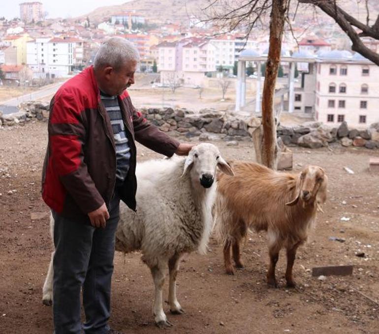 Son dakika haberleri... Sosyal medya bu görüntüleri konuşuyor Ne yapacağımı şaşırdım