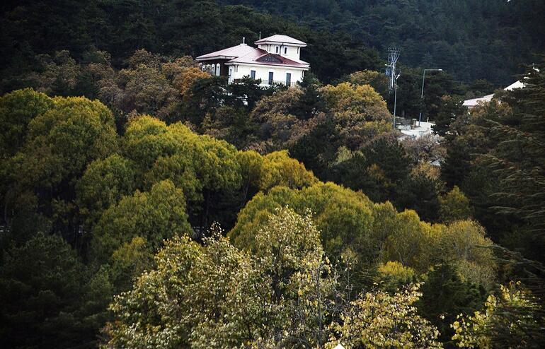 Türkiye’nin ilk milli parkı: Yozgat Çamlığı Milli Parkı