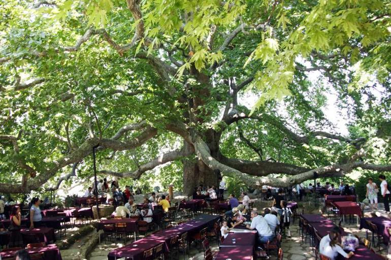 10 adımda Bursa’yı anlama rehberi