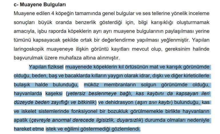 Son dakika haberler...  İşte Ankaradaki köpek vahşetinin raporu: Ses telleri dağlanmış