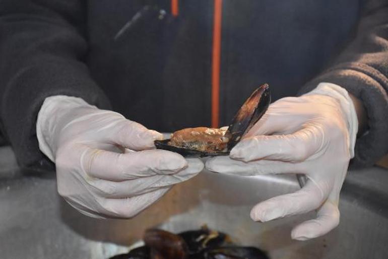 Son dakika haberleri... Cıva tehlikesine dikkat Bu belirtiler varsa test yaptırın... Vedat Milor uyardı: Midye yemek, pil yemek gibidir