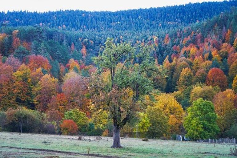 Kışın Karadeniz'de kartpostallık fotoğraflar çekeceğiniz güzeller