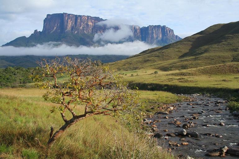 The Lost World between two countries ... The creatures living here surprised scientists