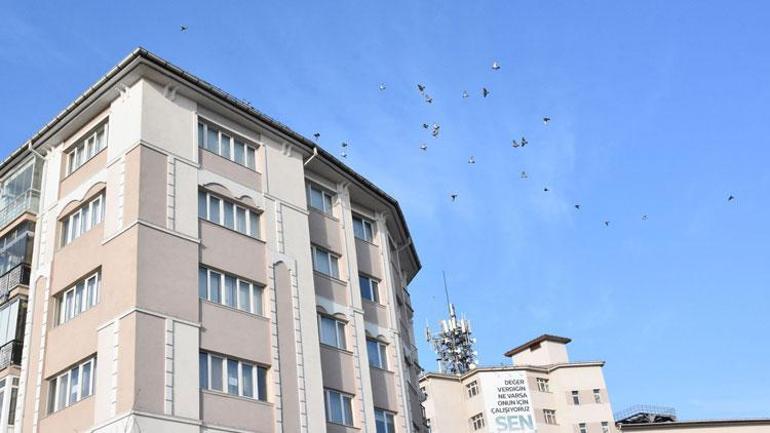 Esnaftan, kuş kirliliğine karşı sesli önlem