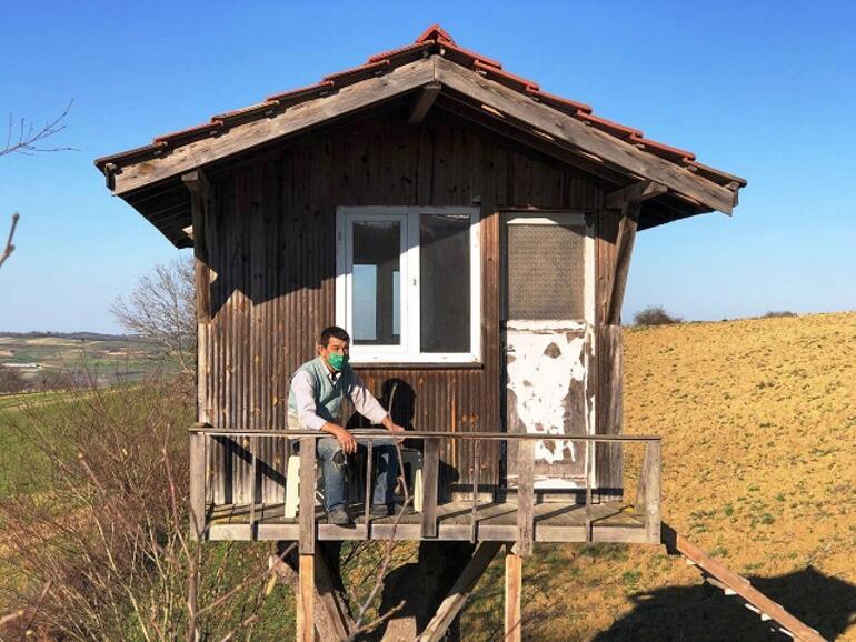 Ai ndërtoi vetë një shtëpi me pemë për të shmangur stresin