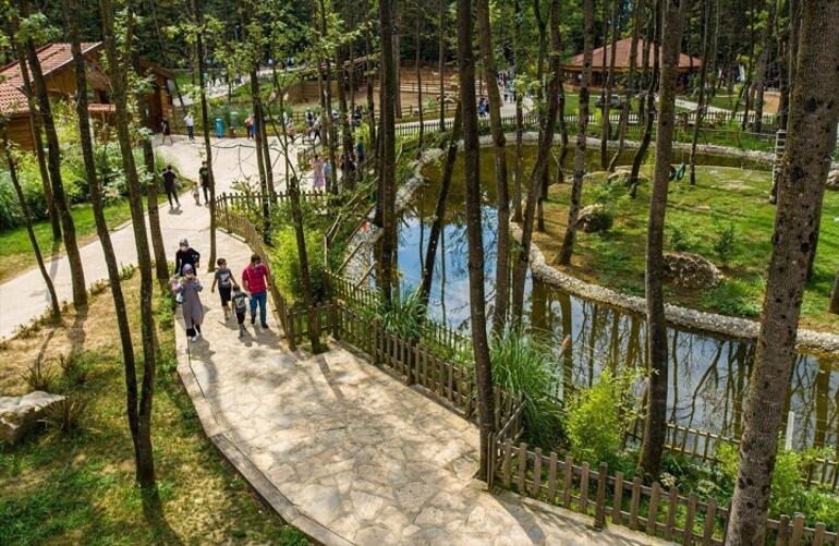 Kocaeli'deki Avrupa'nın en büyük doğal yaşam parkı 5 milyon ziyaretçiyi ağırladı
