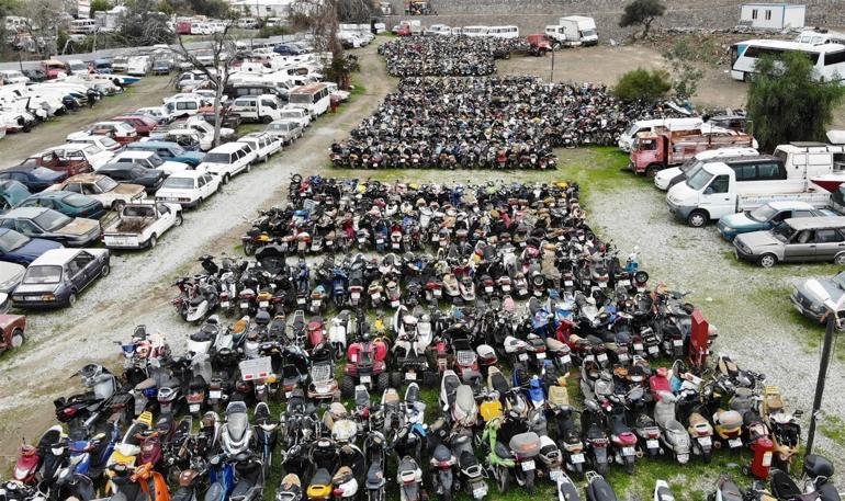 Hepsine el konuldu... Çürümeye terk edildi
