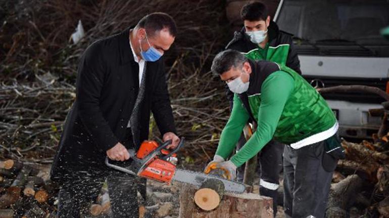 Beyoğlu’nda budanan ağaç dalları ihtiyaç sahiplerine yakacak oluyor