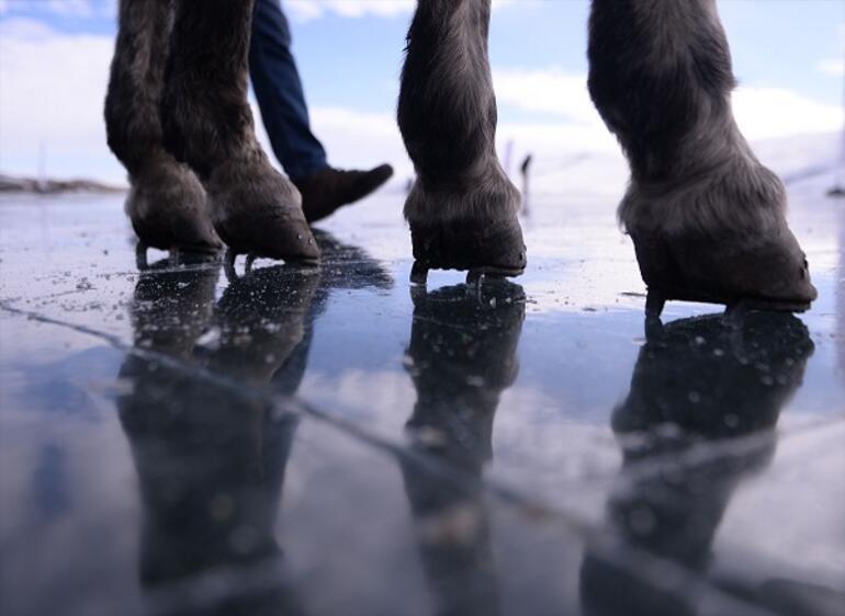 Çıldır Gölü'nün atlı kızakçıları da kar hasreti çekiyor