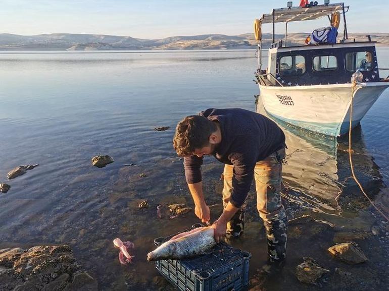 Koronavirüsten korunmak için baraj gölündeki adacığa yerleşti