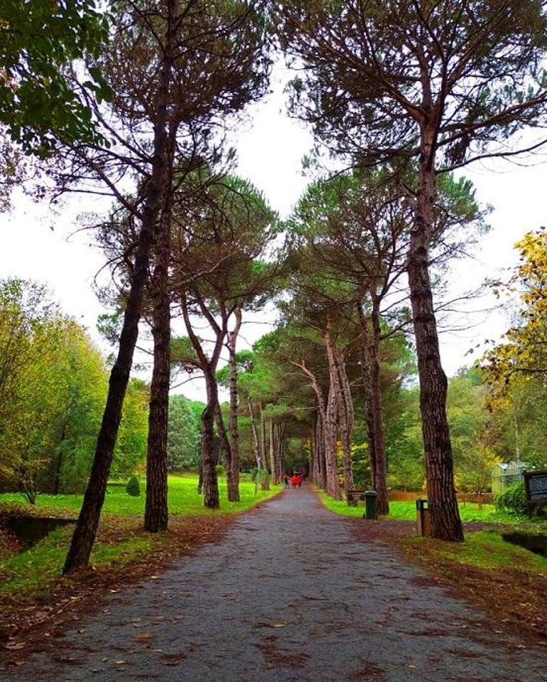 İstanbul'da dört mevsimin en çok yakıştığı yer