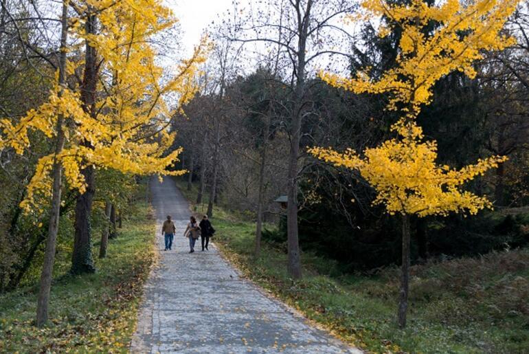 İstanbul'da dört mevsimin en çok yakıştığı yer