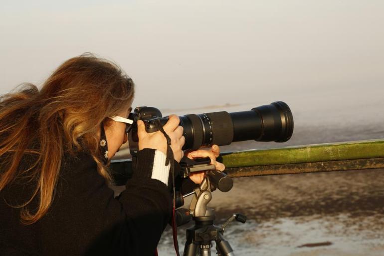 Hem flamingoları hem de fotoğrafseverleri ağırlıyor: Akyatan Lagünü