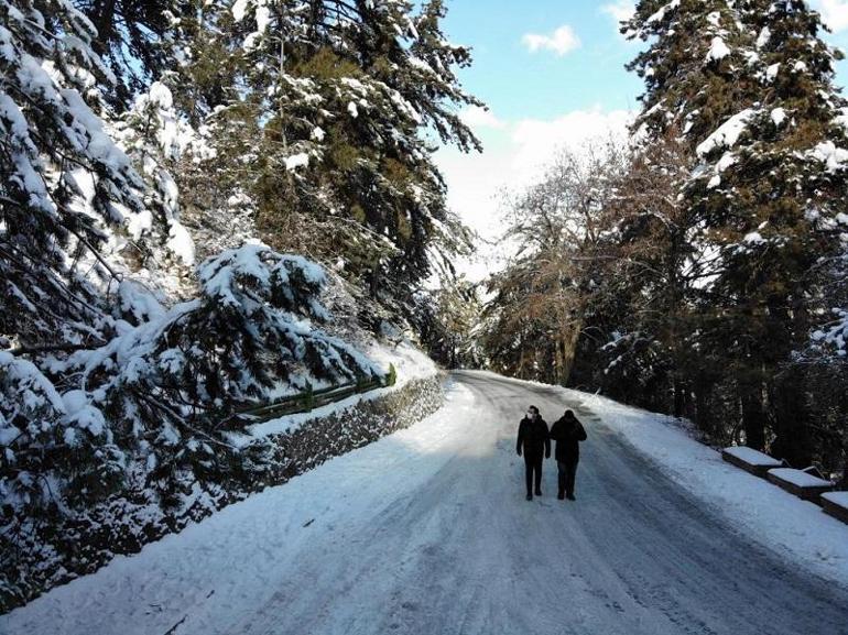 Türkiye’nin ilk milli parkı: Yozgat Çamlığı Milli Park