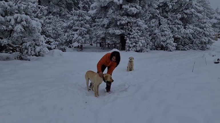 Tek odalı barakada yeni bir hayat kurdular... Şehir hayatından uzak doğayla iç içe