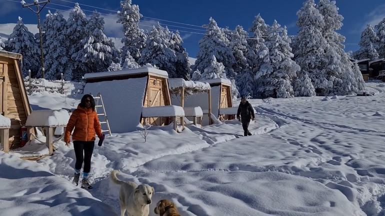 Tek odalı barakada yeni bir hayat kurdular... Şehir hayatından uzak doğayla iç içe