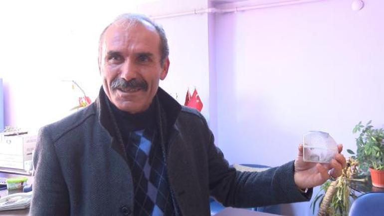 Son dakika haberler... Malatya'da akılalmaz olay! Dedikodu hızla yayıldı: Kendilerini arılara ısırtıyorlar