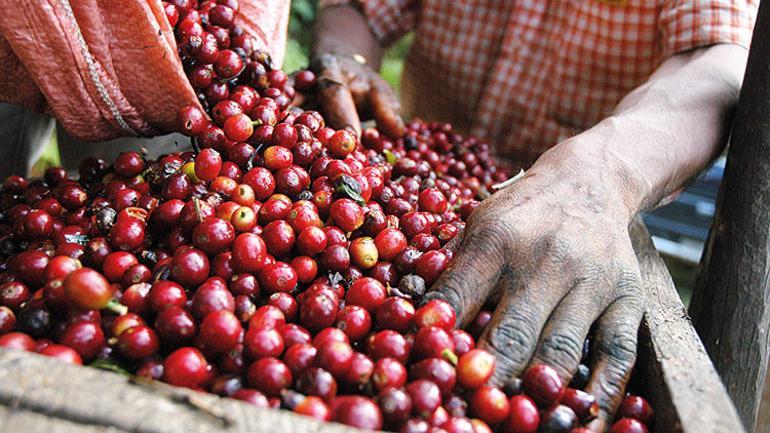 En leziz kahveler için bilmeniz gereken 26 şey Espresso Çekirdek