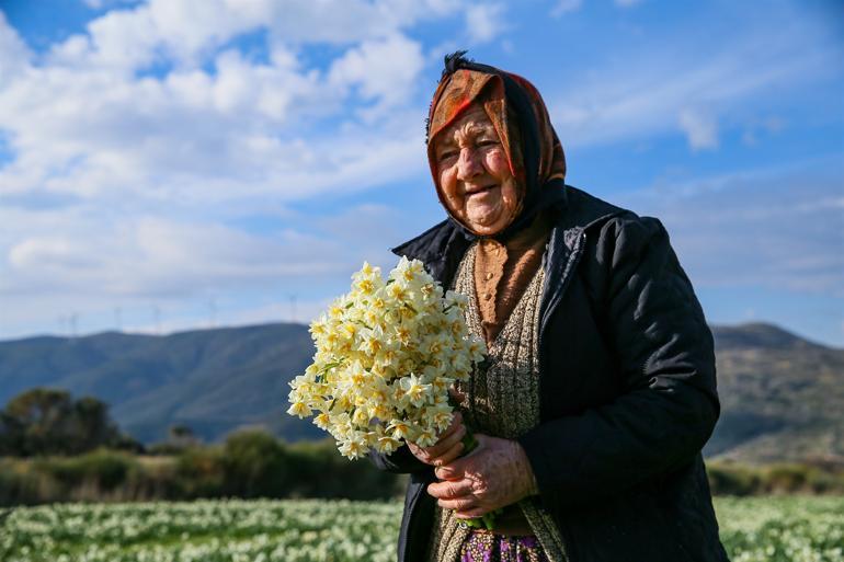 Karaburun Yarımadası'nda yetişiyor! Taleplere yetişemiyorlar...