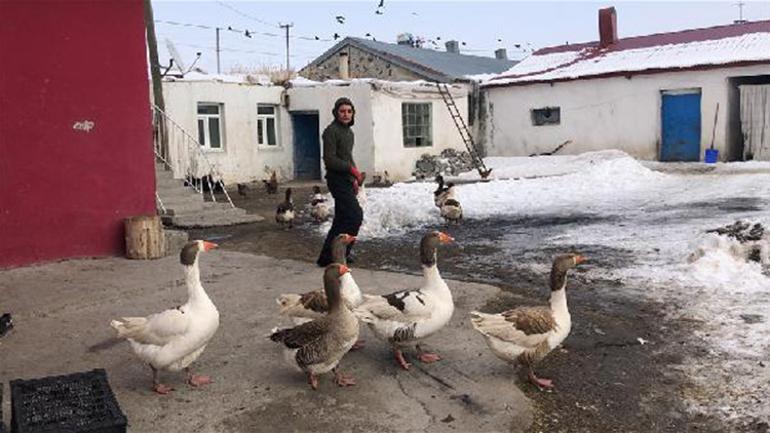 13 yaşındaki Emre, evin bahçesini hayvanat bahçesine çevirdi