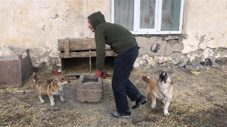 13 yaşındaki Emre, evin bahçesini hayvanat bahçesine çevirdi