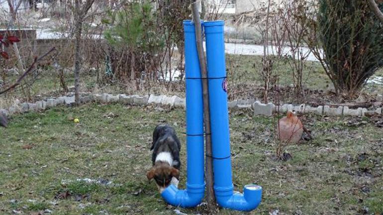 Kütahyada geri dönüşüme gidecek araç lastikleri, kedi evi oldu