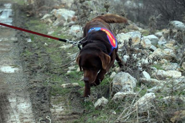 Çanakkalede Mürsel Meracıoğl found 8 days after the bitter news that a corpse dog searches the water for the first time in Turkey