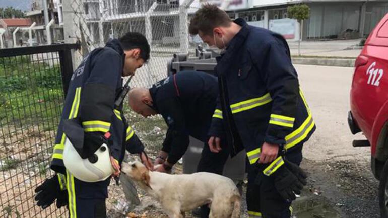 4 metrelik su kuyusuna düşen köpeği itfaiye kurtardı