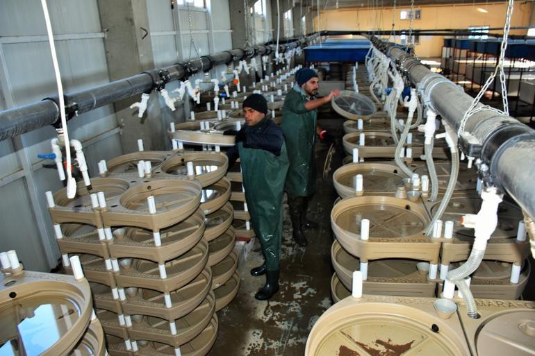 2 bin 100 rakımlı dağın eteklerine kuruldu! Hedefleri 15 milyon dolar