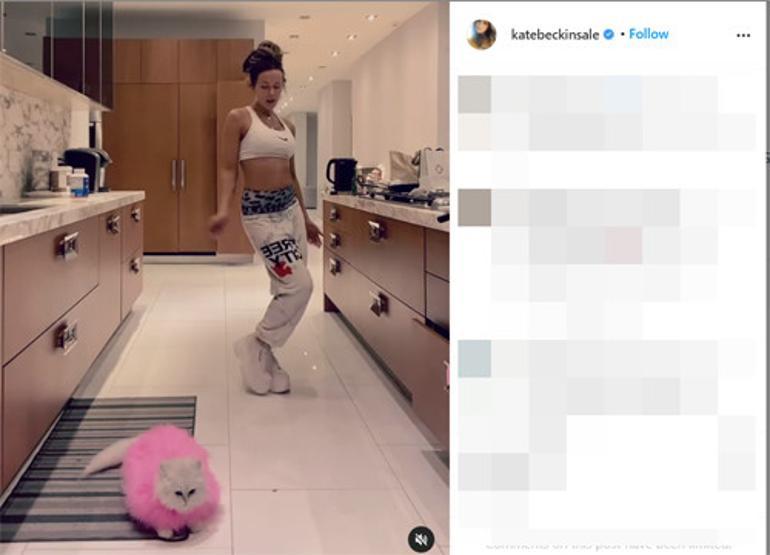 �nl� oyuncunun payla��m� hayranlar�n� ikiye b�ld�: O bir oyuncak de�il bir kedi!