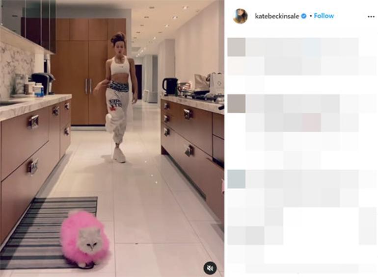 �nl� oyuncunun payla��m� hayranlar�n� ikiye b�ld�: O bir oyuncak de�il bir kedi!