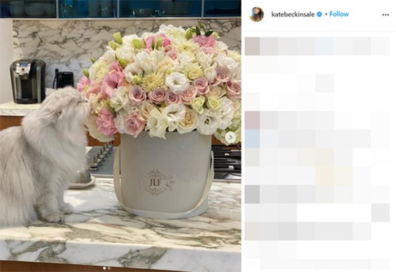 �nl� oyuncunun payla��m� hayranlar�n� ikiye b�ld�: O bir oyuncak de�il bir kedi!