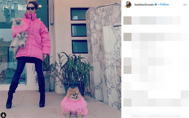 �nl� oyuncunun payla��m� hayranlar�n� ikiye b�ld�: O bir oyuncak de�il bir kedi!