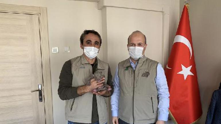 İşçilerin bulduğu yavru ayı korumaya alındı