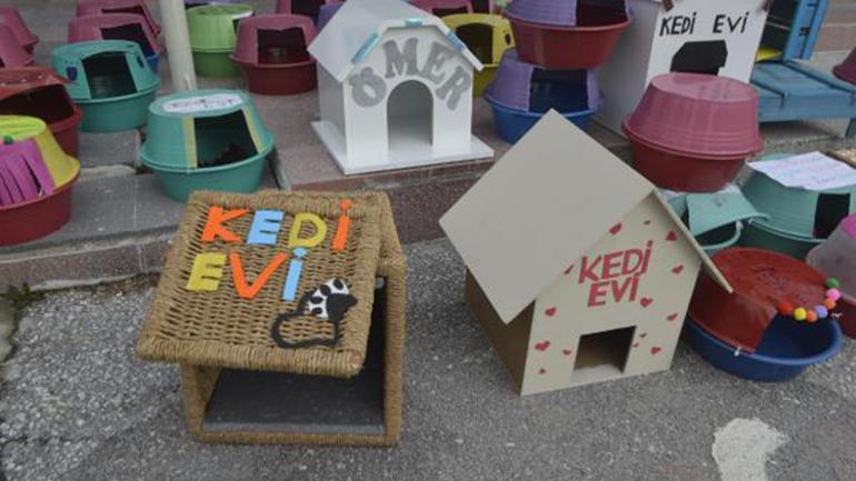 İlkokul öğrencileri sokak kedileri için 60 yuva yaptı
