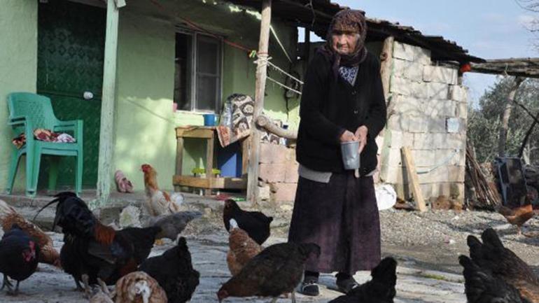 99 yaşındaki Özo Nine, sağlığını organik beslenmeye borçlu