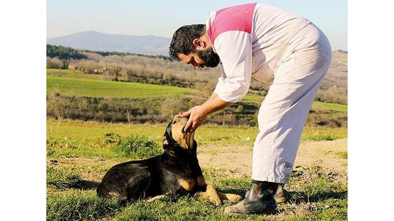 Hayvan koruma gönüllüleri ellerini taşın altına koyuyor