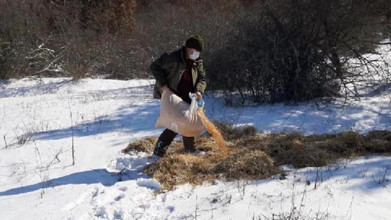 Edirne’de yaban hayvanları için doğaya 1 ton 100 kilo yem bırakıldı