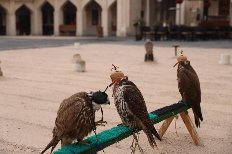 Katar’ın İncisi Doha