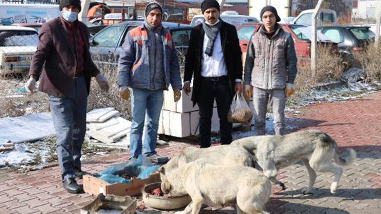 Esnaftan topladığı yiyecekleri sokak köpeklerine dağıtıyor