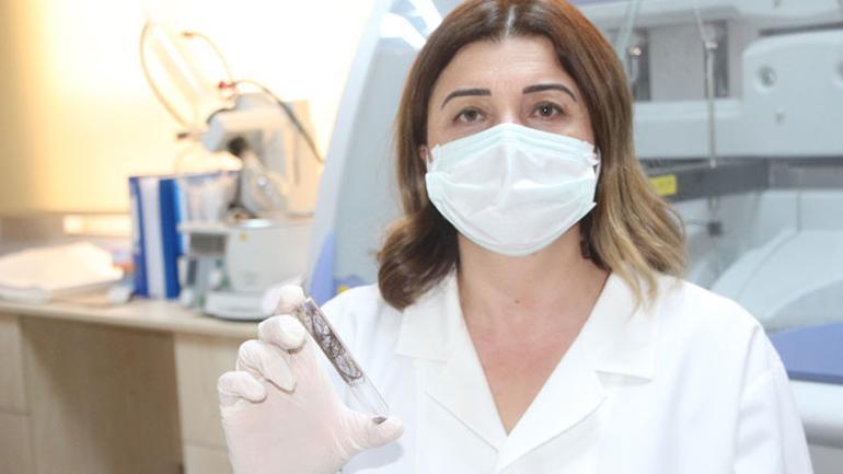 Çiftçilerin saçlarında rastlandı Dikkat çeken çalışma...