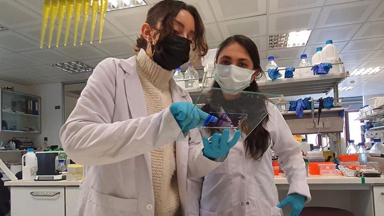 Aşı teknolojisinde devrim yaratacak Mikrokürecik aşısında çok önemli gelişme...