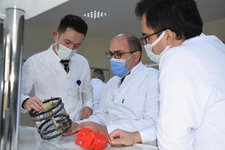 Türk bilim adamlarının büyük başarısı Kudret narının kemik kırığı tedavisinde kullanılabileceği ispatlandı