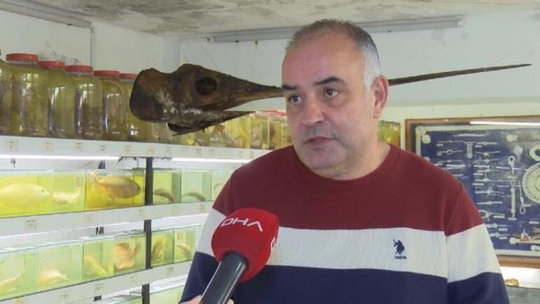 İstanbuldaki bu müzeyi çok fazla kişi bilmiyor 450den fazla balık türü sergileniyor