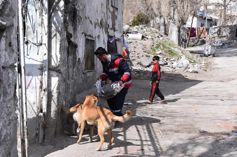 Sokaktaki bin cana mama desteği