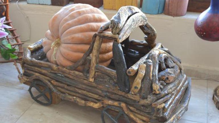 Topladığı ağaç köklerini sanat eserine dönüştürüyor