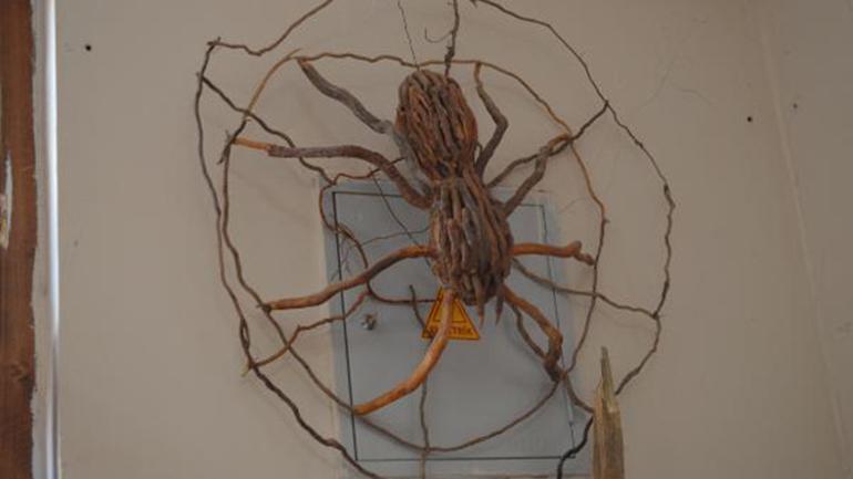 Topladığı ağaç köklerini sanat eserine dönüştürüyor