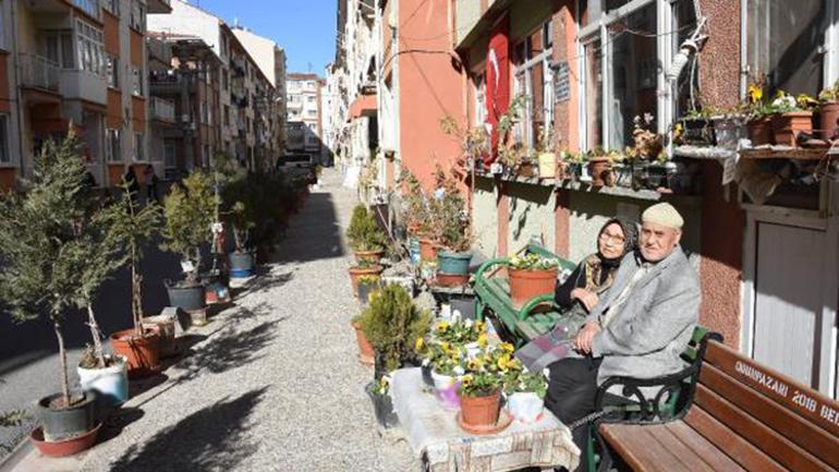 Felç geçiren eşi için sokağı çiçek bahçesine çevirdi