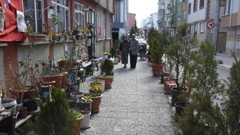 Felç geçiren eşi için sokağı çiçek bahçesine çevirdi